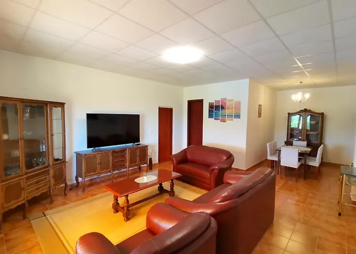 Andy -private Yard, Swimming Pool, Panoramic View Imotski